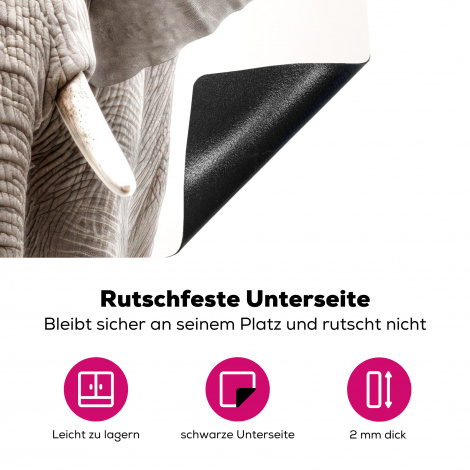 Herdabdeckplatte - Elefant - Wildtiere - Porträt - Weiß-4