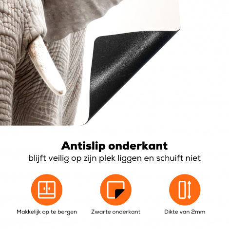 Inductiebeschermer - Olifant - Wilde dieren - Portret - Wit-4