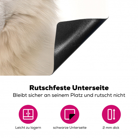 Herdabdeckplatte - Tiere - Wolf - Weiß - Porträt-4