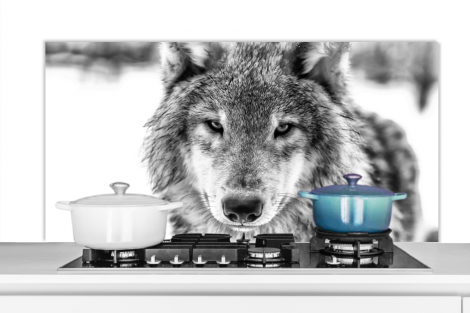 Spritzschutz Küche - Tierprofil Wolf in Schwarz und Weiß