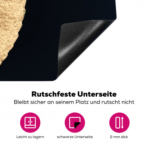 Herdabdeckplatte - Blätter - Schwarz und Gold - Luxus - Chic - Natur-4