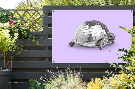 Tuinposter - Schildpad - Discobal - Disco - Dier - Paars - Liggend-thumbnail-2