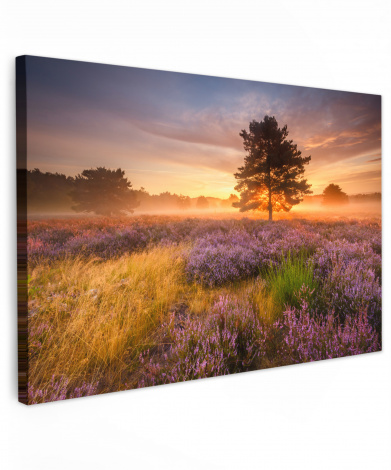 Leinwandbild Heidelandschaft mit einem Baum