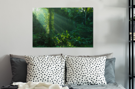 Canvas schilderij - Jungle - Planten - Zon-3