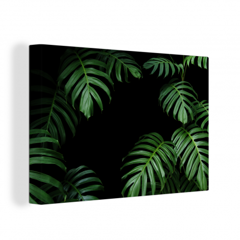 Canvas schilderij - Jungle - Planten - Monstera-1