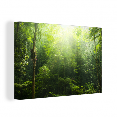 Leinwand - Dschungel - Sonnenlicht - Grün-thumbnail-1
