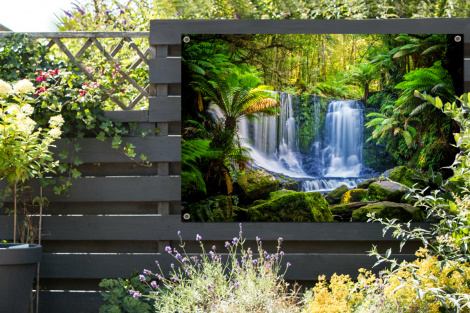 Tuinposter - Jungle - Waterval - Australië - Planten - Natuur - Liggend-thumbnail-2