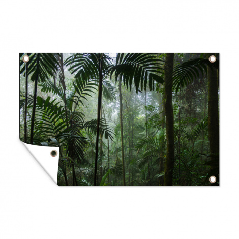 Tuinposter - Regenwoud - Tropisch - Jungle - Bomen - Planten - Liggend-1