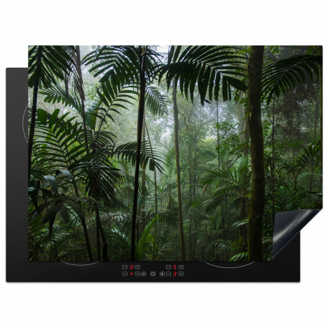Protège-plaque à induction - Forêt pluviale - Tropicale - Jungle - Arbres - Plantes