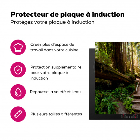 Protège-plaque à induction - Jungle - Nature - Escaliers - Arbres-3