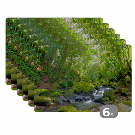 Premium placemats (6 stuks) - Regenwoudkreek - 45x30 cm-1