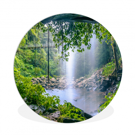 Runde Bilder - Dschungel - Regenwald - Wasser - Wasserfall - Pflanzen