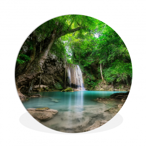 Runde Bilder - Dschungel - Wasserfall - Pflanzen - Wasser - Natur-1