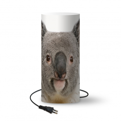 Kinderlamp - Koala - Koala beer - Meisjes - Jongens - Kinderen - Dieren-1