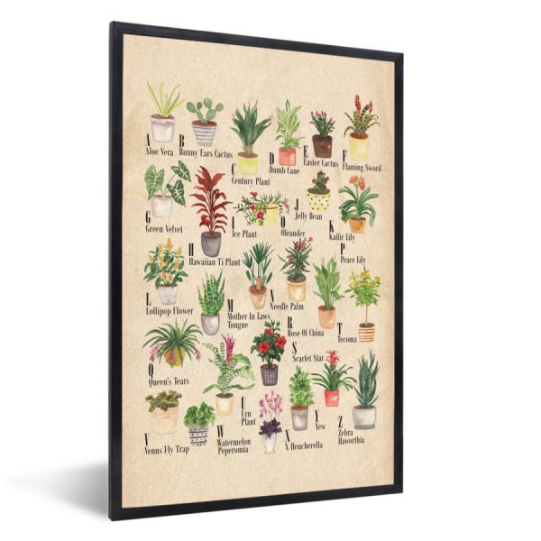 Poster met lijst - Alfabet - Planten - Cactus - Educatief - Bruin - Kinderen - Kids - Staand
