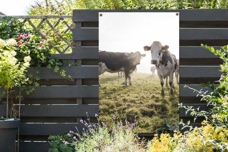 Tuinposter - Koeien - Licht - Gras - Dieren - Staand-thumbnail-2
