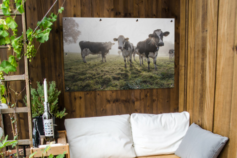 Tuinposter - Koeien - Licht - Gras - Dieren - Liggend-thumbnail-3