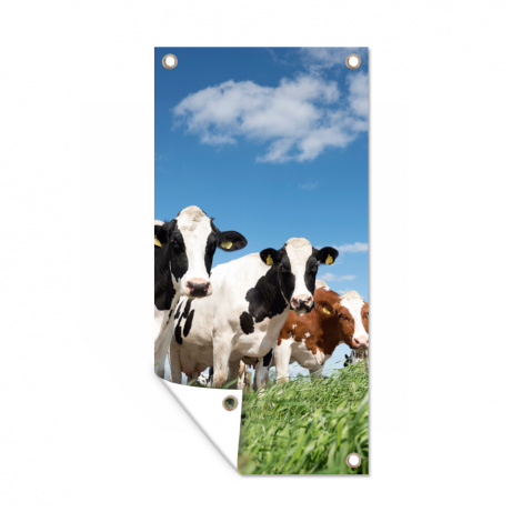 Tuinposter - Koeien - Platteland - Weiland - Natuur - Dieren - Staand-thumbnail-1
