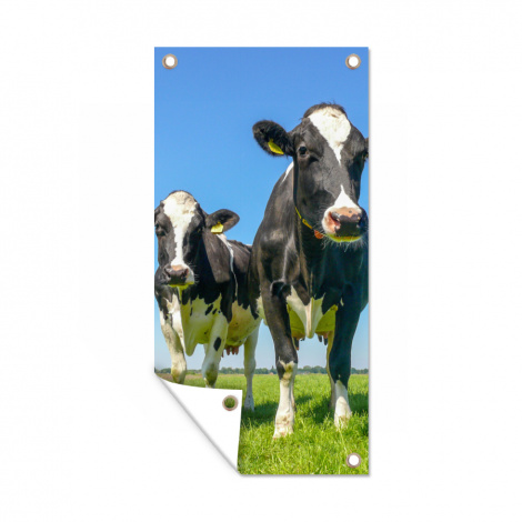 Tuinposter - Koeien - Weiland - Gras - Dieren - Boerderij - Staand-1