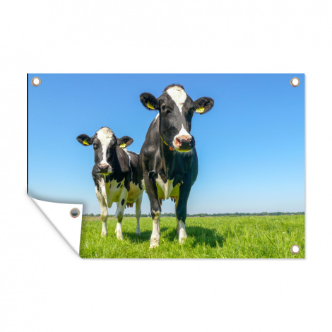 Tuinposter - Koeien - Weiland - Gras - Dieren - Boerderij - Liggend-thumbnail-1