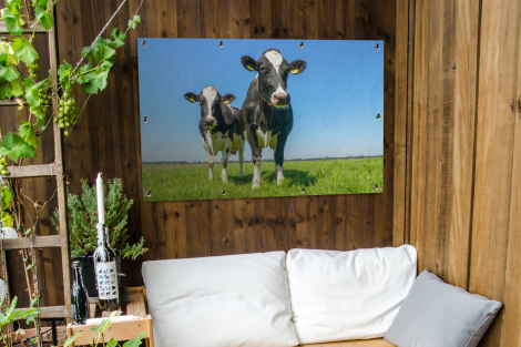 Tuinposter - Koeien - Weiland - Gras - Dieren - Boerderij - Liggend-3