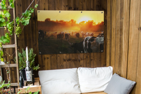 Tuinposter - Koeien - Zonsondergang - Weiland - Dieren - Liggend-thumbnail-3