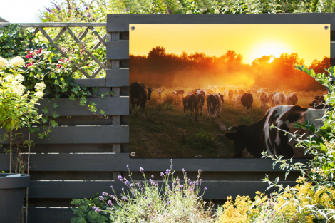 Tuinposter - Koeien - Zonsondergang - Weiland - Dieren - Liggend-thumbnail-2