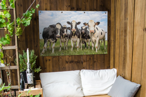 Tuinposter - Koeien - Weiland - Dieren - Natuur - Gras - Liggend-3