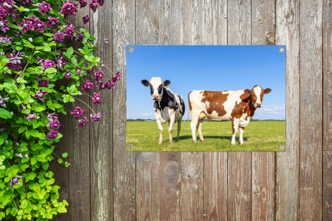 Tuinposter - Koeien - Boerderij - Gras- Natuur - Dieren - Liggend-thumbnail-4