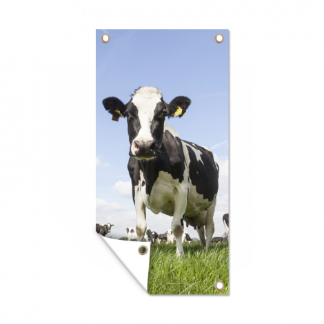 Tuinposter - Koeien - Gras - Dieren - Zon - Boerderij - Staand-thumbnail-1