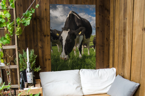 Tuinposter - Koeien - Dieren - Gras - Weiland - Boerderij - Staand-thumbnail-4