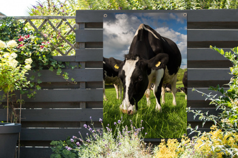 Tuinposter - Koeien - Dieren - Gras - Weiland - Boerderij - Staand-2