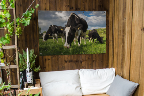 Tuinposter - Koeien - Dieren - Gras - Weiland - Boerderij - Liggend-thumbnail-3