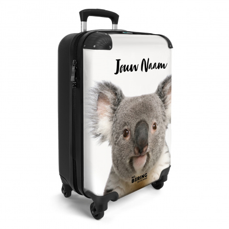 Klaas koala-2