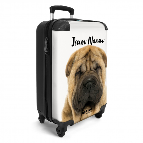 Hondje met boos hoofd-2