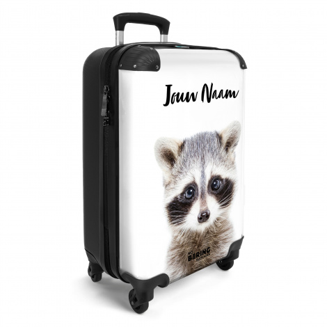 Rachid racoon-2