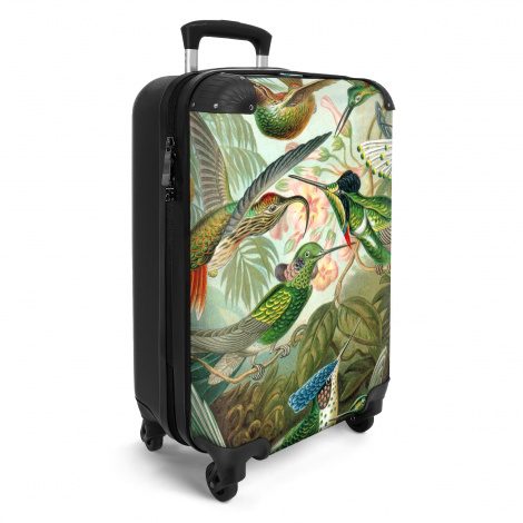 Koffer - Kunst - Vogel - Oude meesters - Haeckel - Groen-2