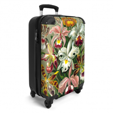 Koffer - Bloemen - Kunstwerk - Haeckel - Planten - Oude meesters-2