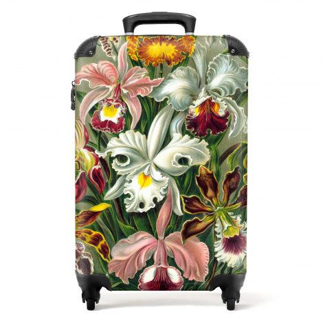 Koffer - Bloemen - Kunstwerk - Haeckel - Planten - Oude meesters