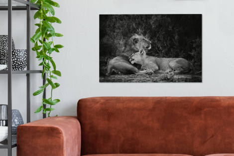 Canvas - Leeuwen - Zwart - Wilde dieren-2