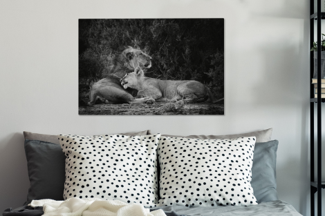 Canvas schilderij - Leeuwen - Zwart - Wilde dieren-3