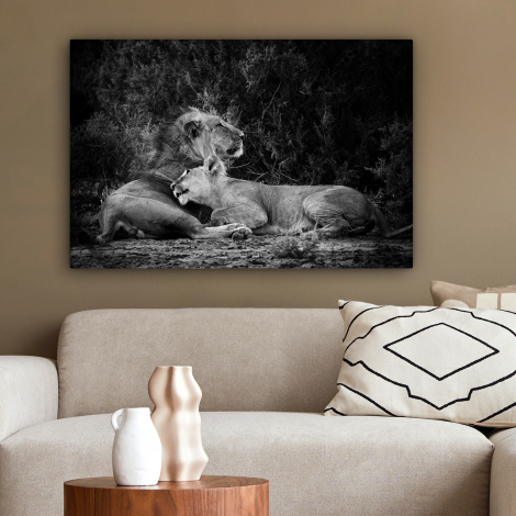 Canvas schilderij - Leeuwen - Zwart - Wilde dieren-2