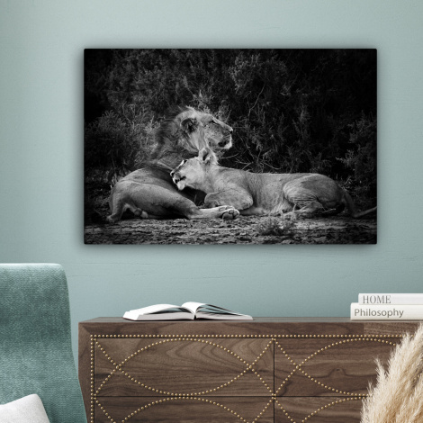 Canvas schilderij - Leeuwen - Zwart - Wilde dieren-4