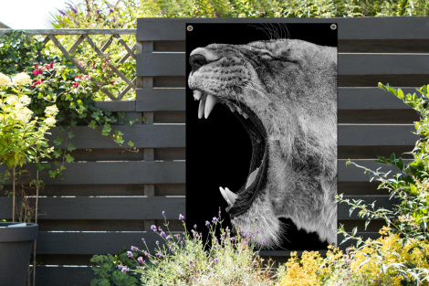Tuinposter - Dieren - Brullende leeuw - Zwart - Wit - Portret - Staand-thumbnail-2