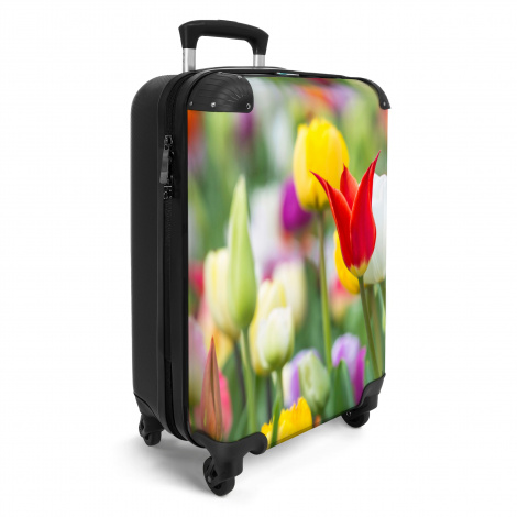 Koffer - Tulpen - Planten - Bloemen - Lente - Botanisch-2
