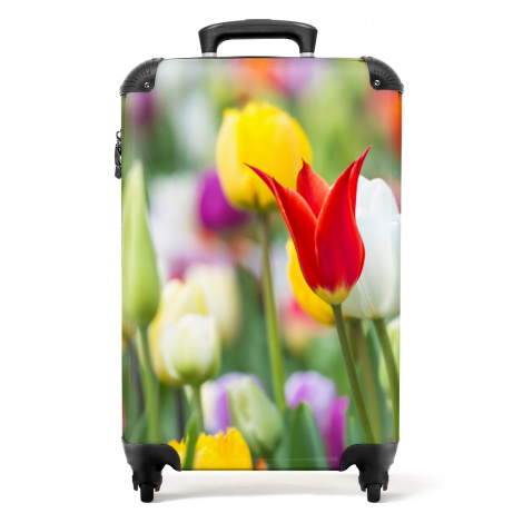 Koffer - Tulpen - Planten - Bloemen - Lente - Botanisch