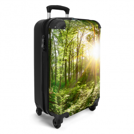 Koffer - Bos - Bomen - Planten - Zon - Lente-2