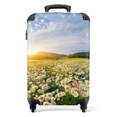 Koffer - Bloemen - Zon - Landschap - Margriet - Botanisch