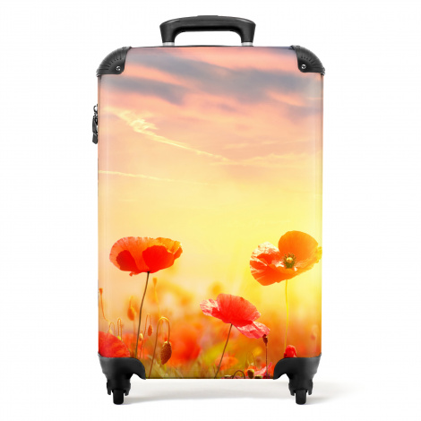 Koffer - Bloemen - Klaproos - Zonsondergang - Rood - Botanisch
