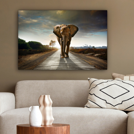 Leinwandbild - Elefant - Straße - Tiere - Sonnenuntergang - Landschaft-2